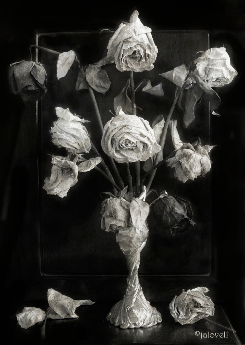 Dried Roses-Still Life in Black and White